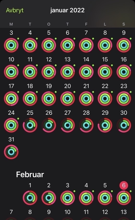 Apple Fitness overview for January and February. All rings closed except for a week with no workouts.
